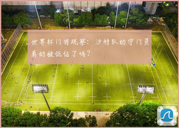 世界杯门将观察：沙特队的守门员真的被低估了吗？