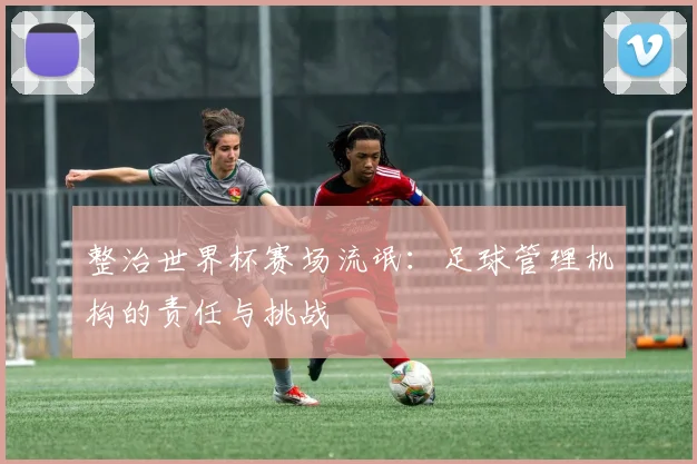 整治世界杯赛场流氓：足球管理机构的责任与挑战