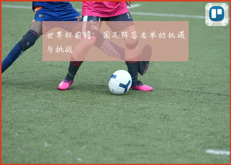 世界杯前瞻:国足阵容名单的机遇与挑战