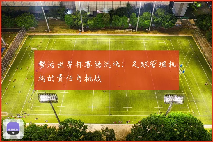 整治世界杯赛场流氓：足球管理机构的责任与挑战