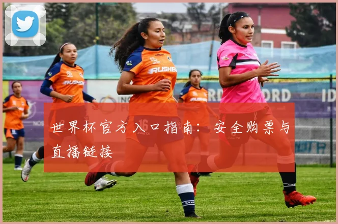 世界杯官方入口指南：安全购票与直播链接
